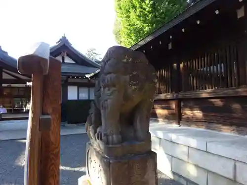 井草八幡宮の狛犬