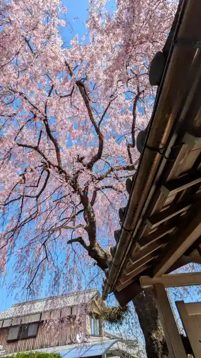 星光院の{uncategorized: "未分類", other: "その他", undefined: "問題あり", building: "その他建物", grave: "お墓", sacred_gate: "鳥居", guardian: "狛犬", statue: "像", buddha: "仏像", history: "歴史", nature: "自然", garden: "庭園", animal: "動物", pagoda: "塔", temizu: "手水舎", mountain_gate: "山門・神門", sanctuary: "本殿・本堂", subordinate: "末社・摂社", art: "芸術", scenery: "景色", jizo: "地蔵", ema: "絵馬", goshuin: "御朱印", omikuji: "おみくじ", items: "授与品その他", amulet: "お守り", goshuincho: "御朱印帳", eats: "食事", festival: "お祭り", votive_dance: "神楽", shichigosan: "七五三参", wedding: "結婚式", experience: "体験その他", initially: "初詣", around: "周辺", anti_infection: "感染症対策"}