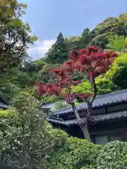 四所神社(兵庫県)