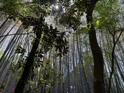 石峯寺(京都府)