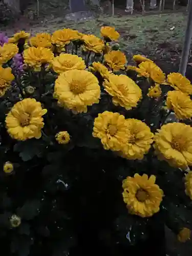 大宮温泉神社(栃木県)