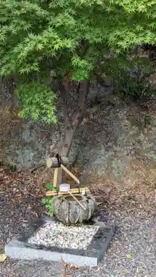 本栖寺(京都府)