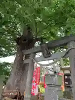 三ツ木神社の鳥居
