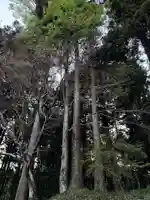 大宮温泉神社(栃木県)