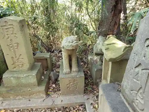 頼政神社の狛犬