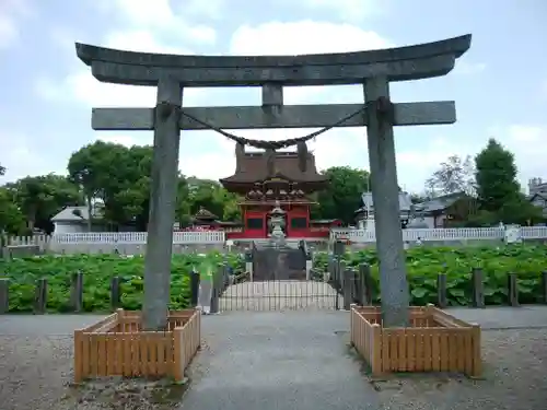 伊賀八幡宮の鳥居