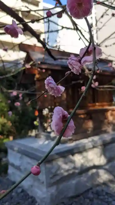 泥江縣神社(愛知県)