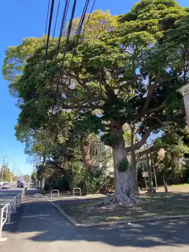 八坂神社(神奈川県)