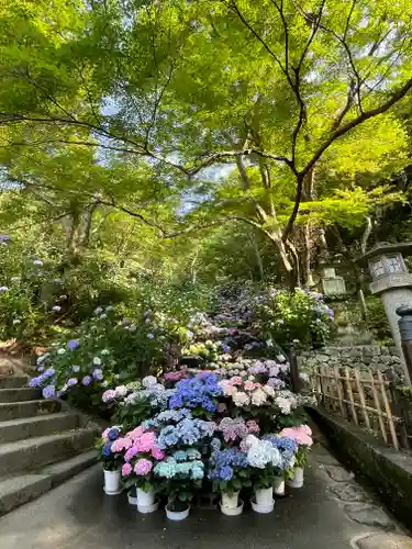 長谷寺(奈良県)