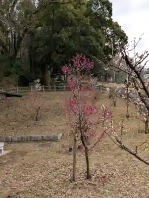 枚岡神社の{uncategorized: "未分類", other: "その他", undefined: "問題あり", building: "その他建物", grave: "お墓", sacred_gate: "鳥居", guardian: "狛犬", statue: "像", buddha: "仏像", history: "歴史", nature: "自然", garden: "庭園", animal: "動物", pagoda: "塔", temizu: "手水舎", mountain_gate: "山門・神門", sanctuary: "本殿・本堂", subordinate: "末社・摂社", art: "芸術", scenery: "景色", jizo: "地蔵", ema: "絵馬", goshuin: "御朱印", omikuji: "おみくじ", items: "授与品その他", amulet: "お守り", goshuincho: "御朱印帳", eats: "食事", festival: "お祭り", votive_dance: "神楽", shichigosan: "七五三参", wedding: "結婚式", experience: "体験その他", initially: "初詣", around: "周辺", anti_infection: "感染症対策"}