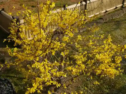 輪王寺両大師堂(寛永寺輪王殿)の自然
