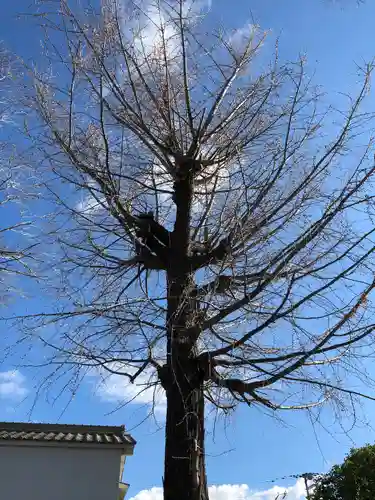御劔神社の自然