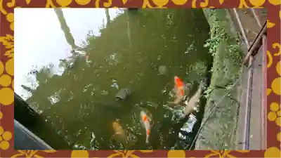 越ヶ谷久伊豆神社(埼玉県)