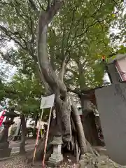 三皇熊野神社本宮(秋田県)