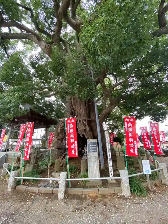 遍照院(神奈川県)