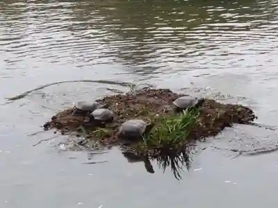 三渓園天満宮(神奈川県)