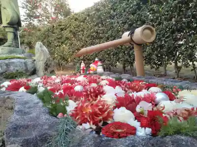 浄誓寺の手水舎