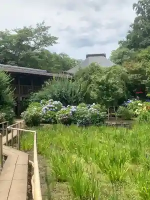本土寺(千葉県)