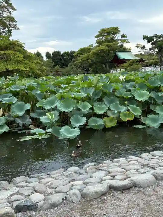 旗上弁財天社の{uncategorized: "未分類", other: "その他", undefined: "問題あり", building: "その他建物", grave: "お墓", sacred_gate: "鳥居", guardian: "狛犬", statue: "像", buddha: "仏像", history: "歴史", nature: "自然", garden: "庭園", animal: "動物", pagoda: "塔", temizu: "手水舎", mountain_gate: "山門・神門", sanctuary: "本殿・本堂", subordinate: "末社・摂社", art: "芸術", scenery: "景色", jizo: "地蔵", ema: "絵馬", goshuin: "御朱印", omikuji: "おみくじ", items: "授与品その他", amulet: "お守り", goshuincho: "御朱印帳", eats: "食事", festival: "お祭り", votive_dance: "神楽", shichigosan: "七五三参", wedding: "結婚式", experience: "体験その他", initially: "初詣", around: "周辺", anti_infection: "感染症対策"}