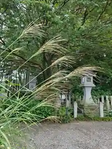 沙沙貴神社の自然(2021年09月08日(水) 14時43分53秒投稿)