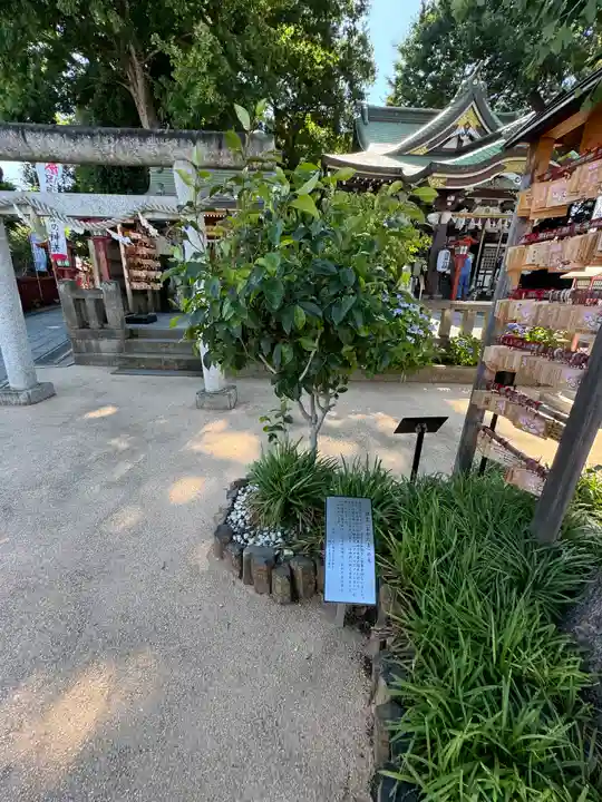 川越八幡宮(埼玉県)