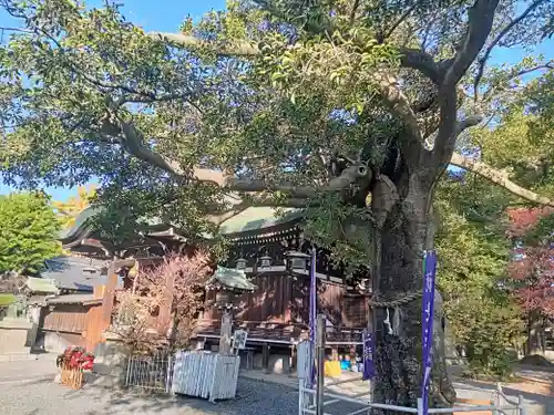 生根神社(大阪府)
