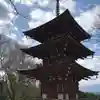 岡寺(龍蓋寺)の塔