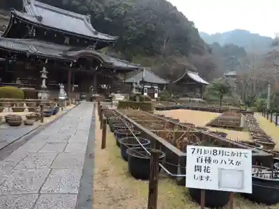 三室戸寺(京都府)