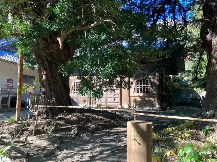 浄光明寺(神奈川県)