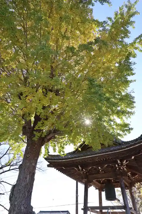 慈恩寺(埼玉県)