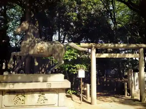 英賀神社の狛犬