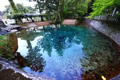 嚴島神社の庭園