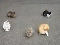 唐澤山神社の動物