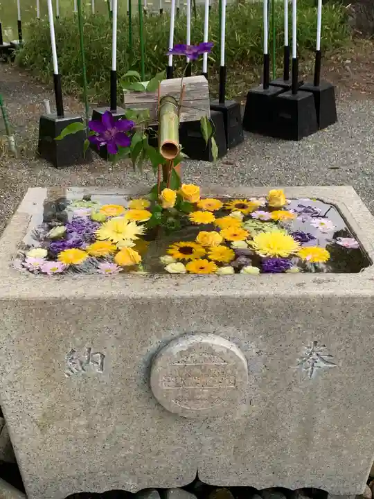 鶴岡八幡宮の手水舎