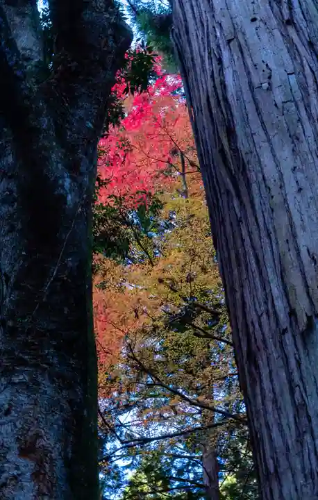 貴船神社奥宮(京都府)