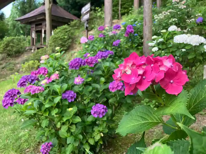 長谷寺(長野県)