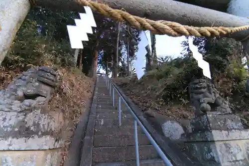 阿久津「田村神社」（郡山市阿久津町）旧社名：伊豆箱根三嶋三社の狛犬