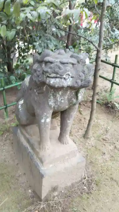 稲毛浅間神社の狛犬