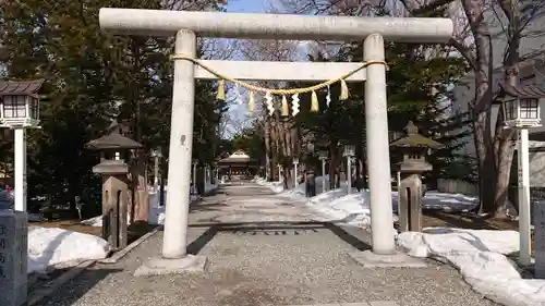 新琴似神社の鳥居