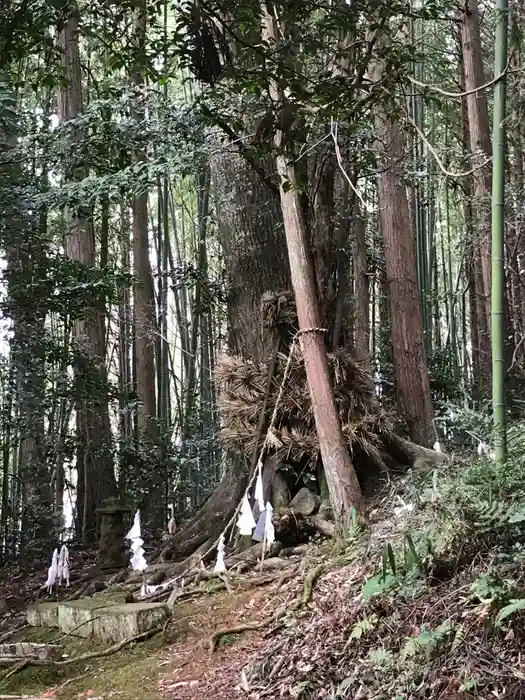 住吉神社の建物その他