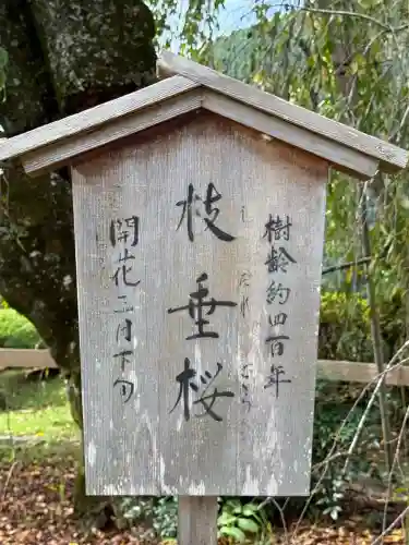 久遠寺(山梨県)