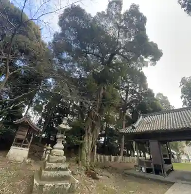 大歳神社(兵庫県)
