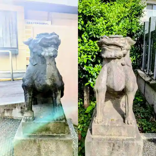 白金氷川神社の狛犬