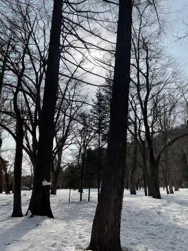 北海道神宮の自然