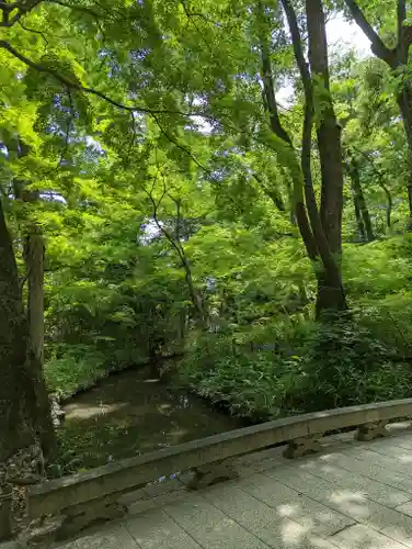 河合神社（鴨川合坐小社宅神社）(京都府)