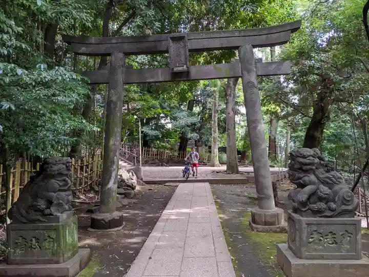 渋谷氷川神社の鳥居