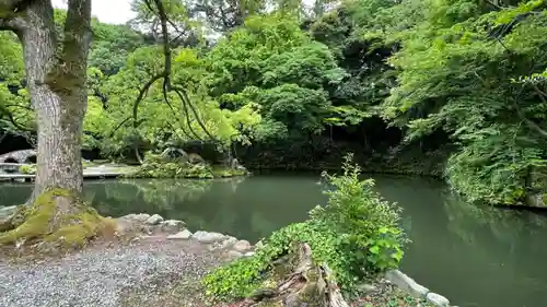 尾山神社の庭園