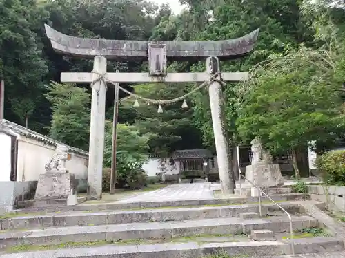 白山比咩神社の鳥居