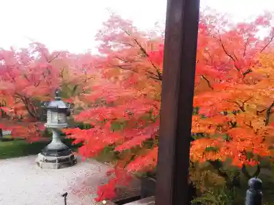 禅林寺(永観堂)(京都府)