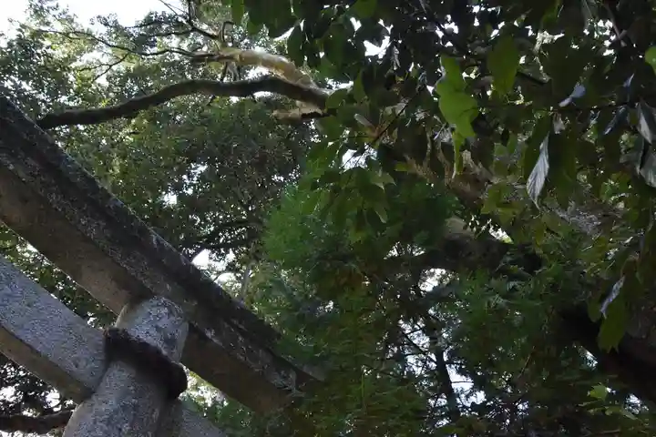愛宕神社(阿多古神社)の鳥居